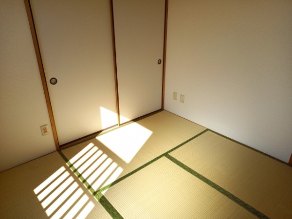 畳替えで和室をモダンに！ カラー畳と縁無し畳の活用法サムネイル